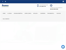 Tablet Screenshot of clinicaandros.com.br
